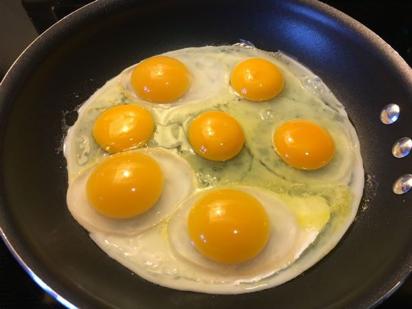 Free-Range_Duck_and_Chicken_Eggs