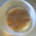 Kombucha SCOBY