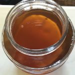 Kombucha SCOBY