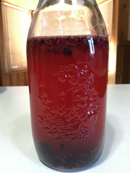 Mulberry Water Kefir