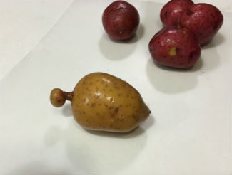 Ugly Potato