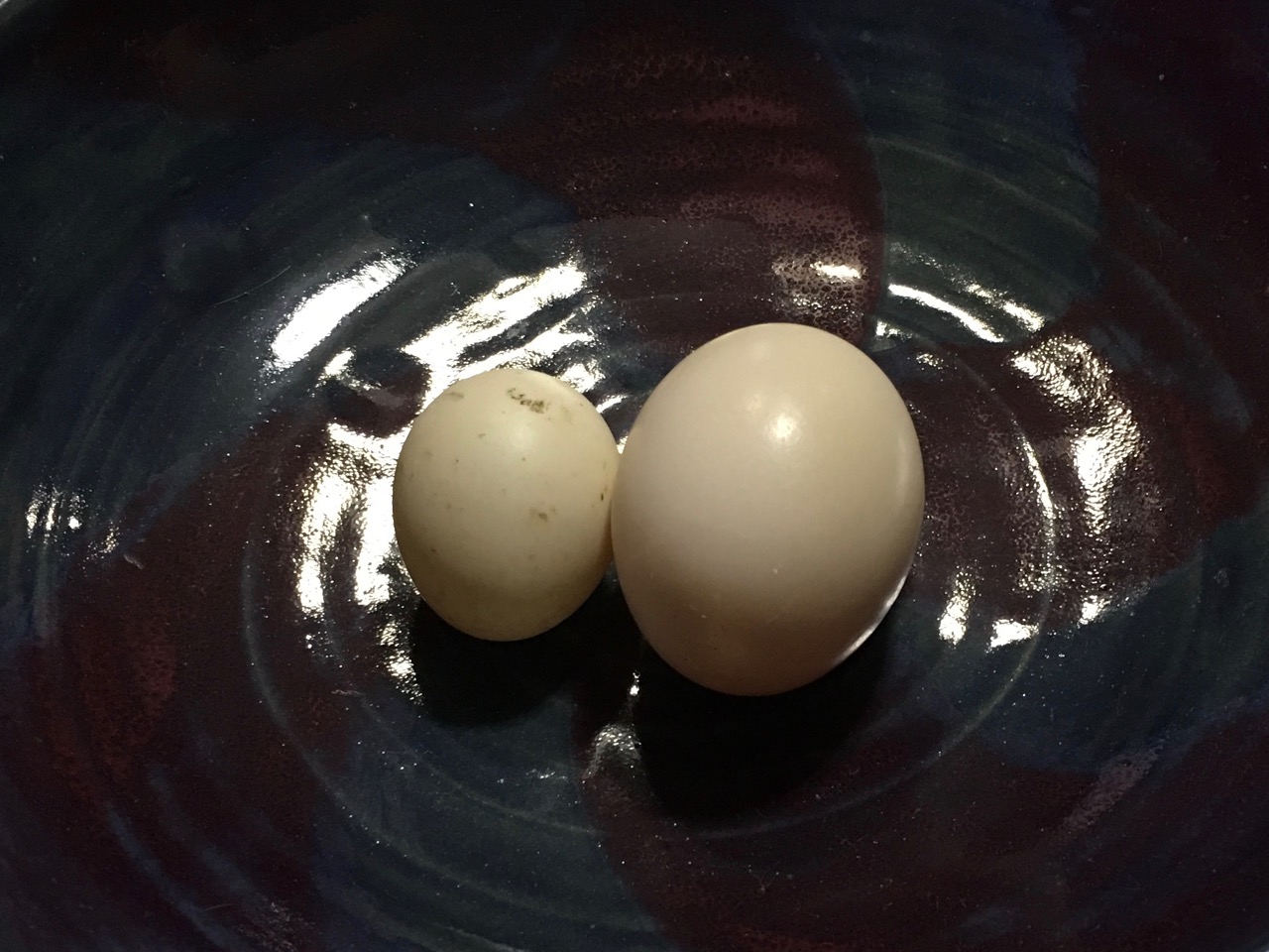 Strange Eggs