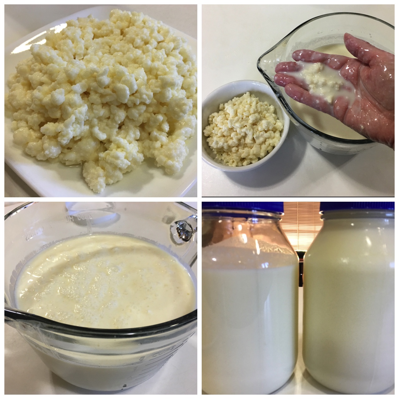 2018-02-21_Milk_Kefir-02