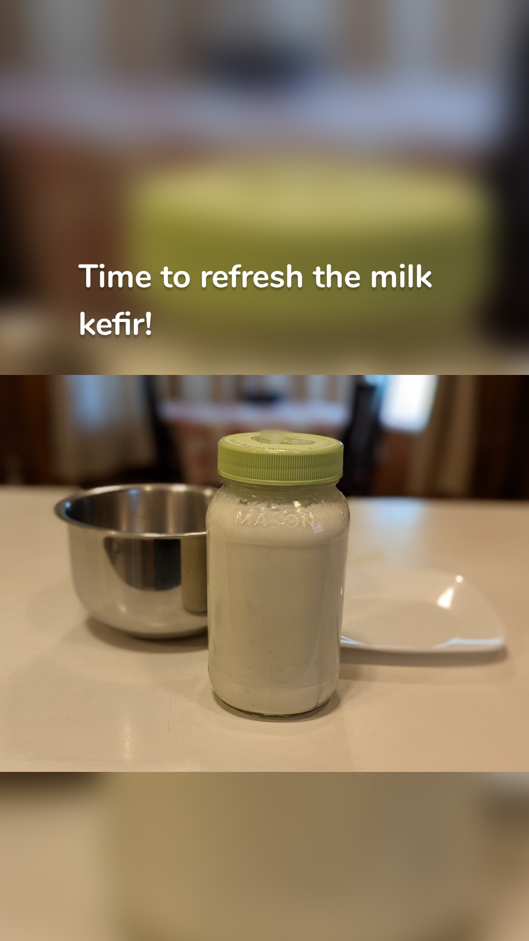 Time to refresh the milk kefir!