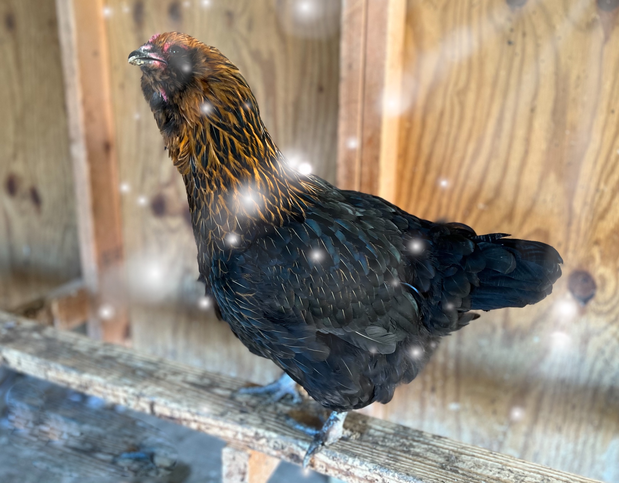 Watching The Bottom Line: TSC Prices Can Vary By Store Location ...